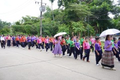 IMG_254_resize
