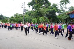IMG_256_resize