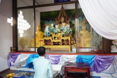IMG_285_resize