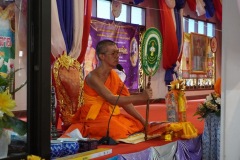 IMG_295_resize