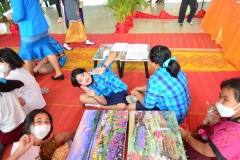 pic071
