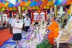 228_resize