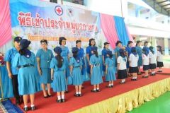 pic028