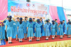 pic034