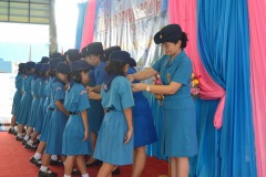 pic037