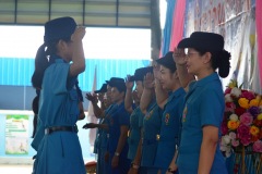 pic041