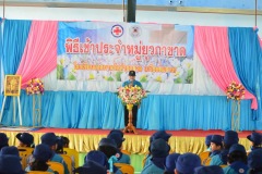 pic054
