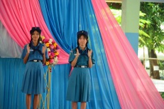 pic061