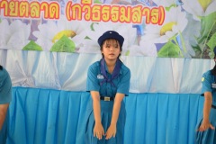 pic066