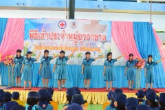 pic071