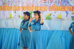 pic074