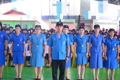pic084
