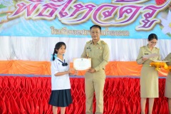 pic1001-1