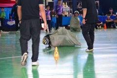 กล้องสอง-230