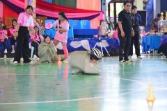 กล้องสอง-255