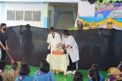 pic017-1