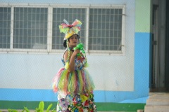 pic056-1