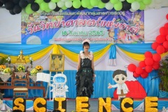 pic063-1