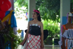 pic078-1