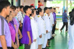pic1042