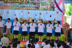 pic065
