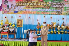 pic074