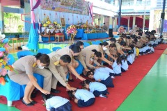pic087